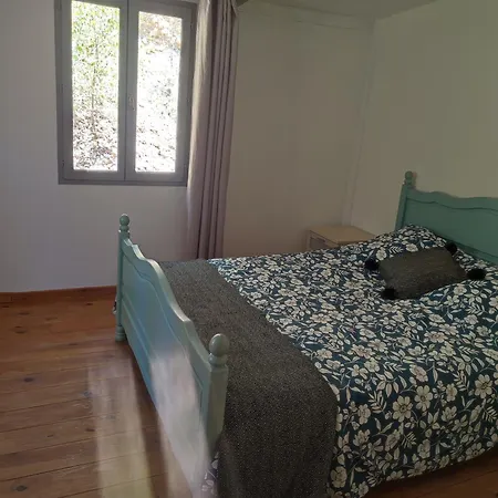 En Bois Dans La Foret *