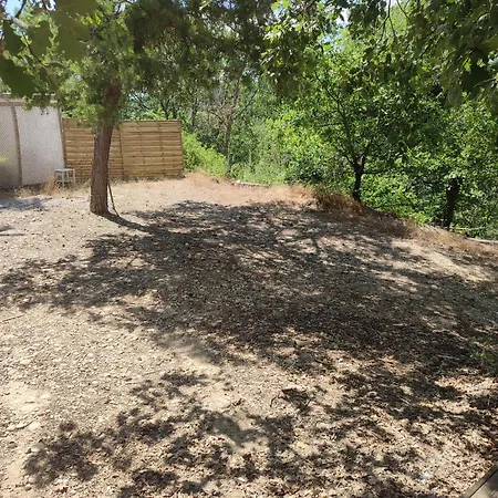 En Bois Dans La Foret *