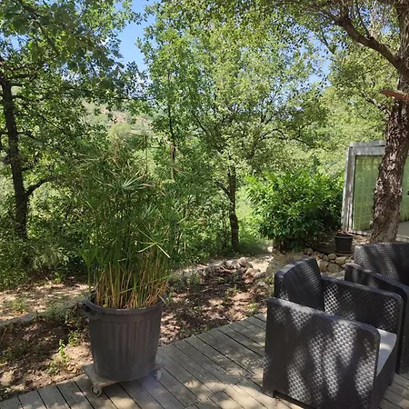 En Bois Dans La Foret *