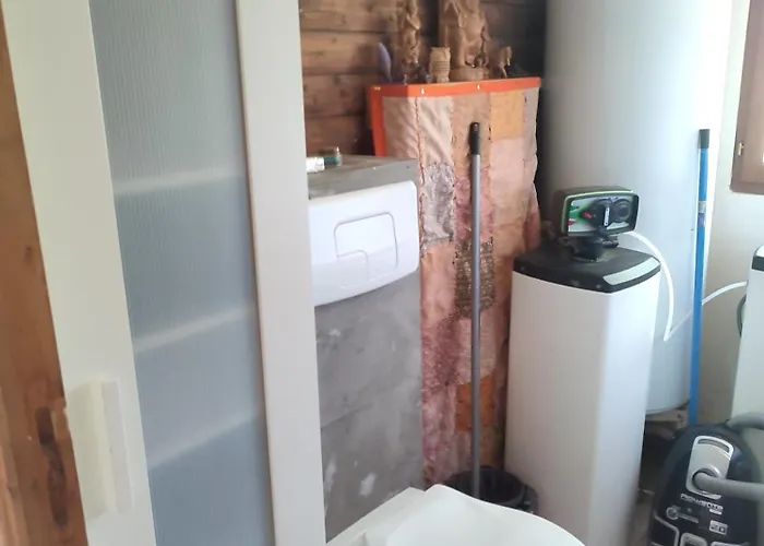 En Bois Dans La Foret